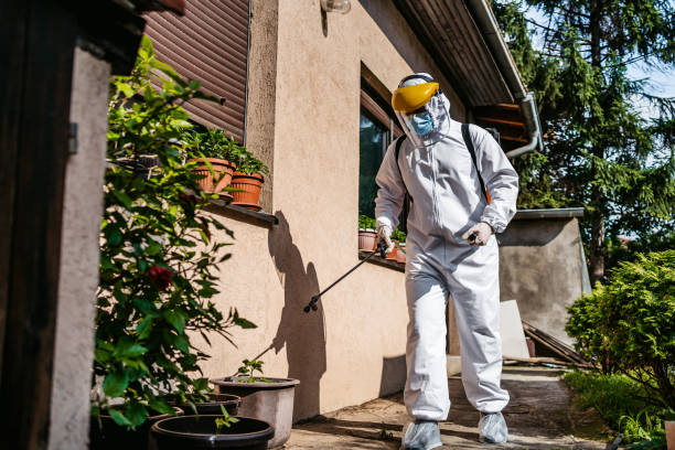 Best Pest Removal Services  in Homer City, PA