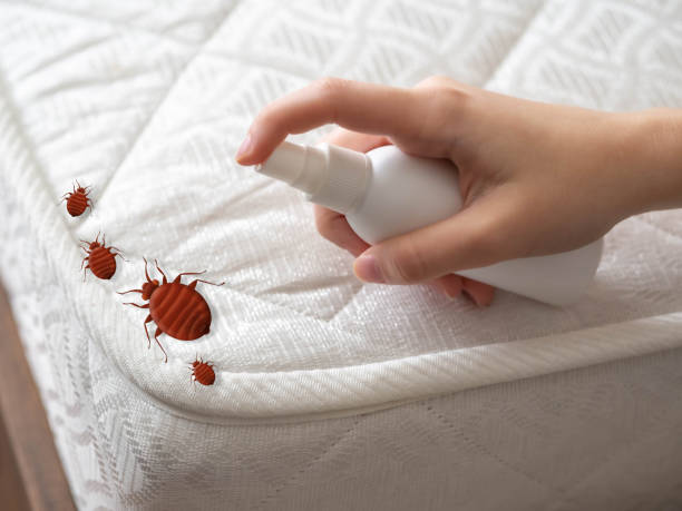 Homer City, PA Pest Control Company